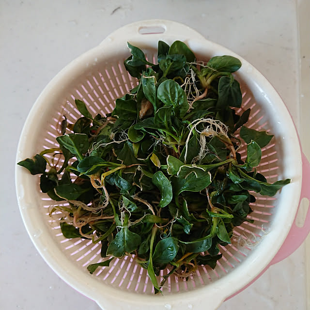 yukimamaさんの実例写真