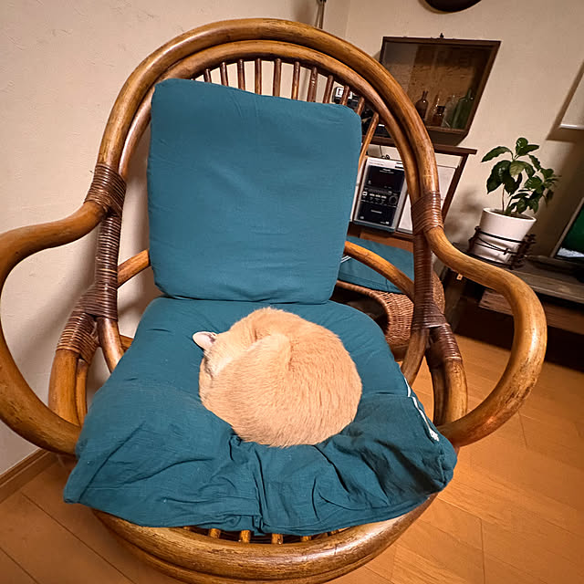 mikan161さんの実例写真