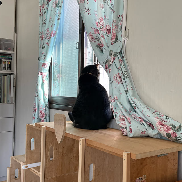 momocchiさんの実例写真