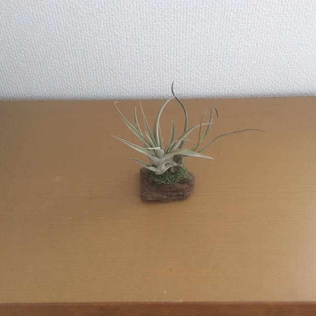 Tomokoさんの実例写真