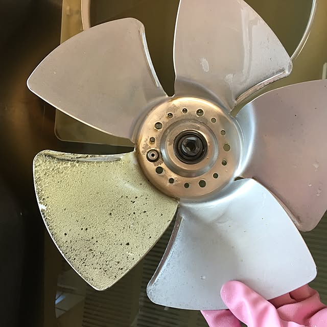 choc17さんの実例写真
