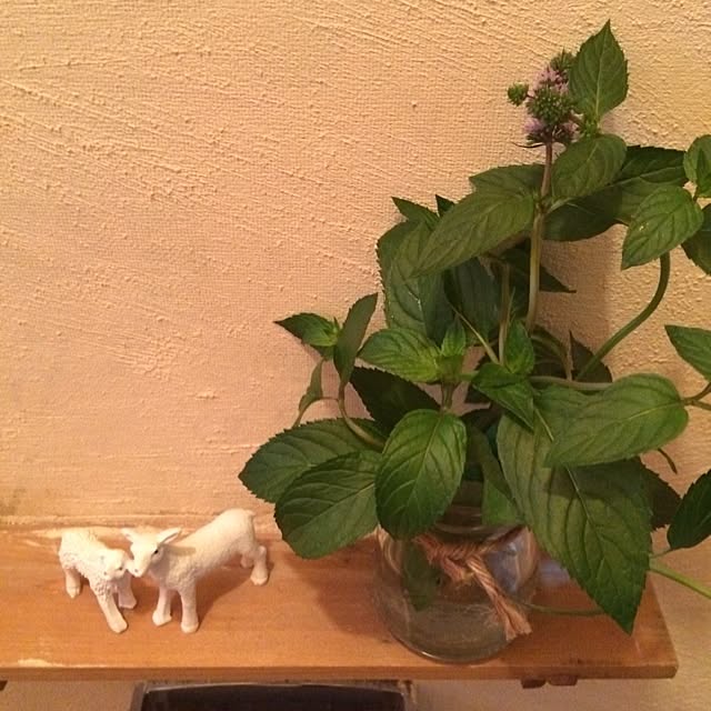 nora_koさんの実例写真