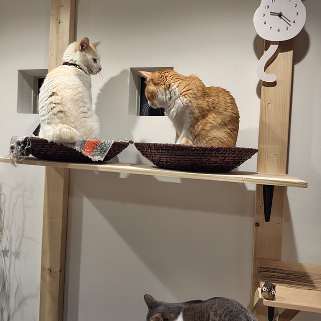 nrsim+kmymさんの部屋