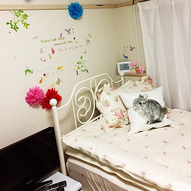 nukoさんの実例写真