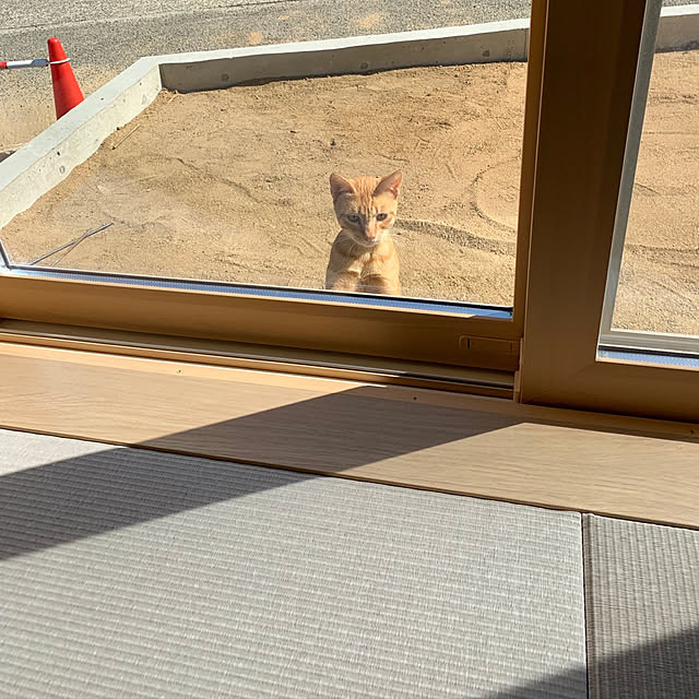 h_home.hさんの実例写真