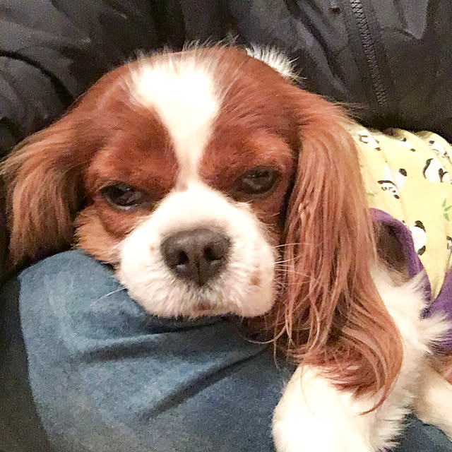 miyaさんの実例写真
