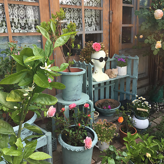 shigimiさんの実例写真