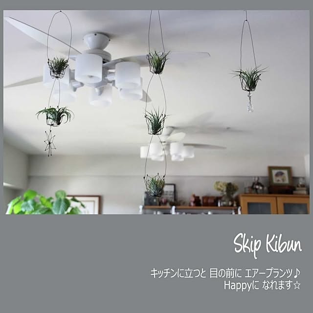 RIKAさんの実例写真