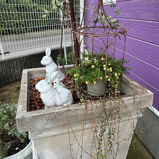 AYUKOさんの部屋