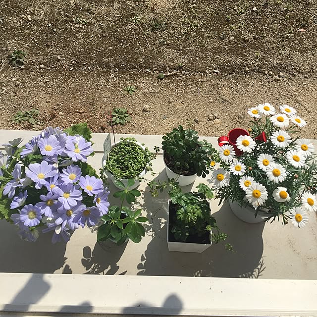 Kanamiさんの実例写真