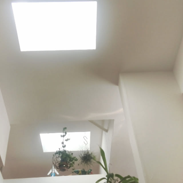 saman3さんの実例写真