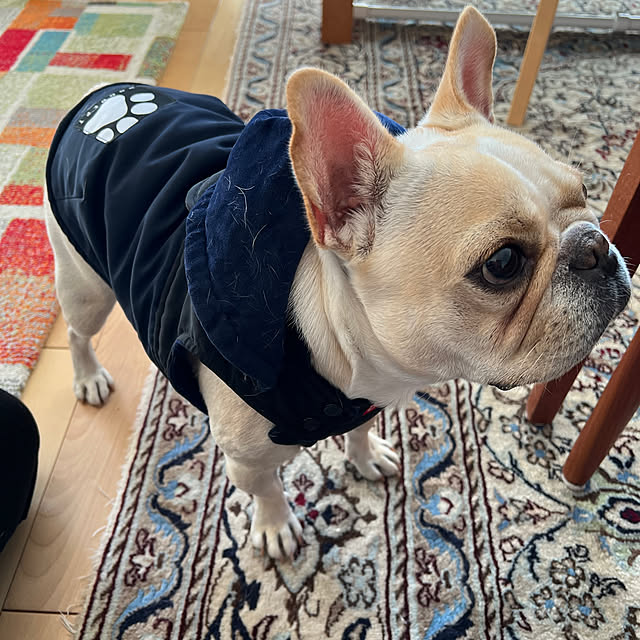 Inarichinさんの部屋