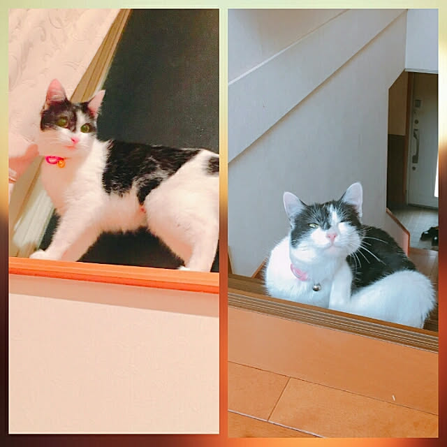 yum0408さんの実例写真