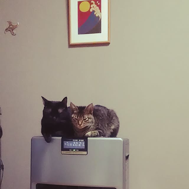 kuromiさんの実例写真