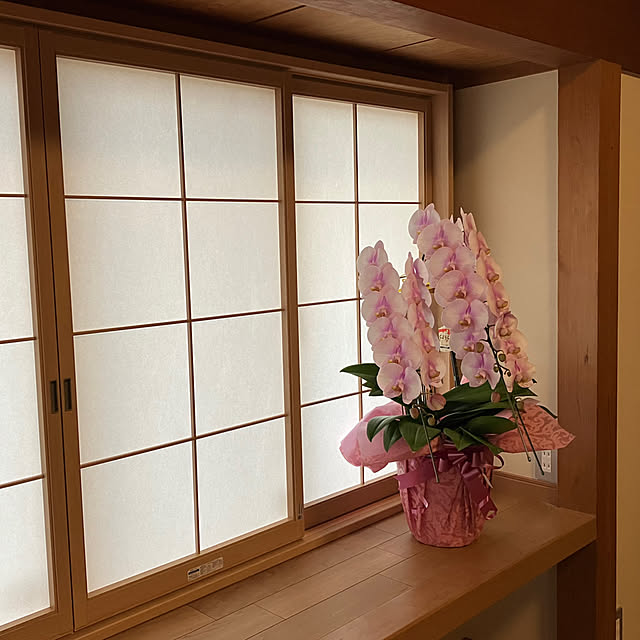 Takenoyaさんの部屋
