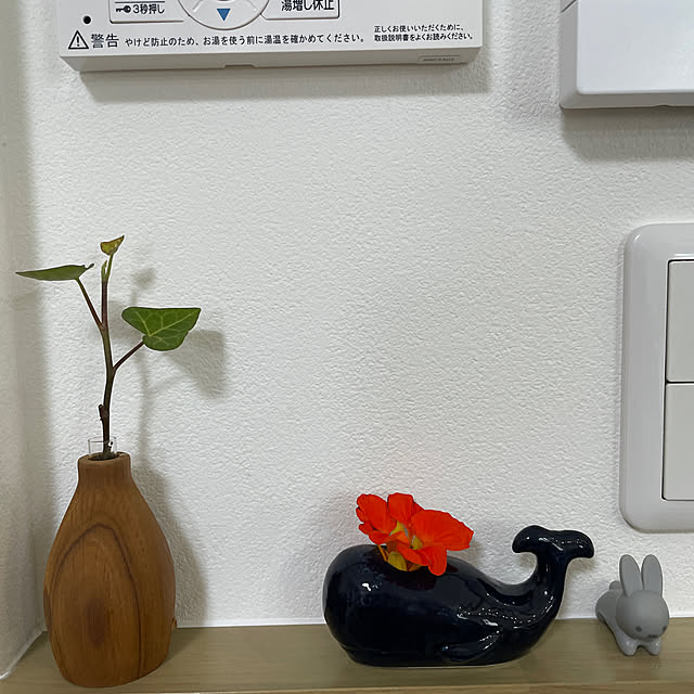 nakaayuさんの実例写真