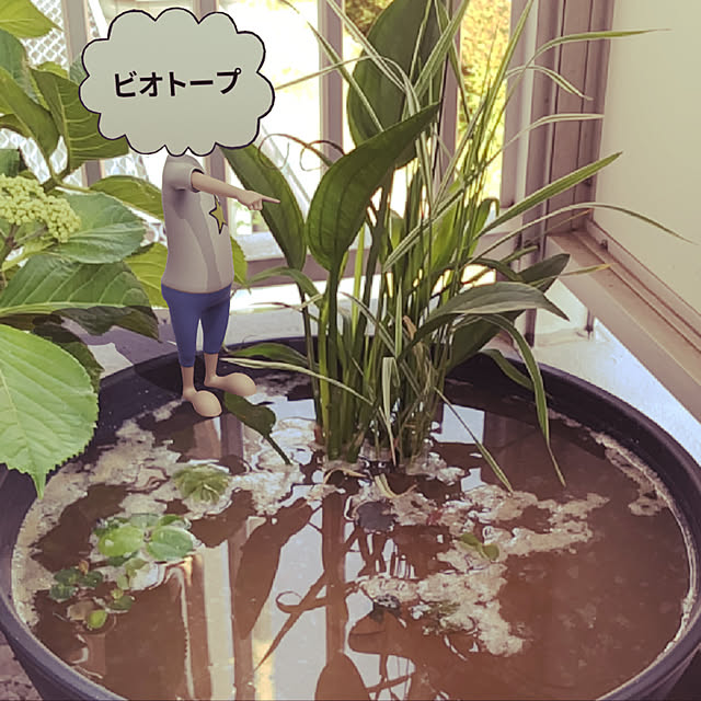 Hiroさんの実例写真