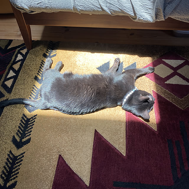 momokumiさんの実例写真