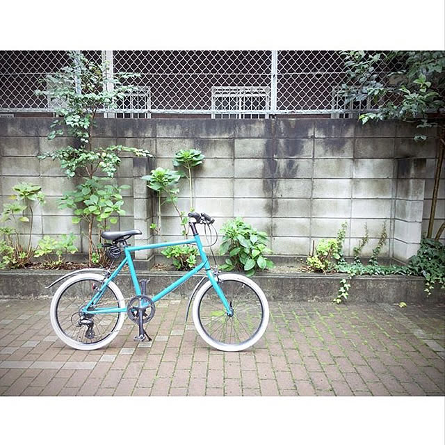Halu526さんの実例写真
