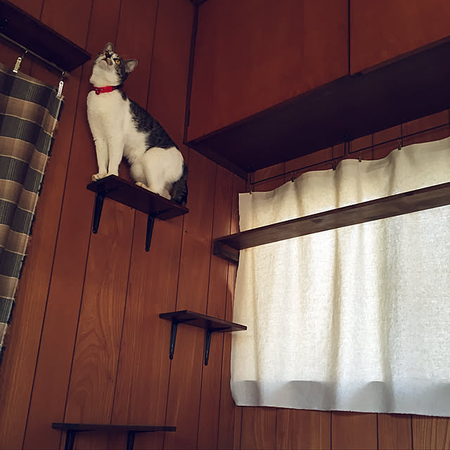 atsyjmさんの実例写真