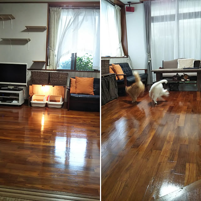 gabさんの実例写真