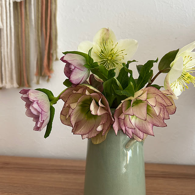 R.5.mamaさんの実例写真