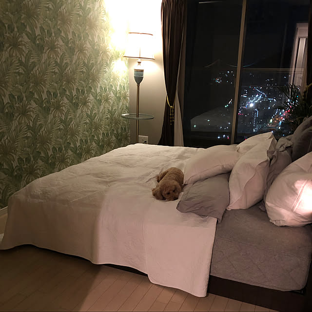 arimoさんの実例写真