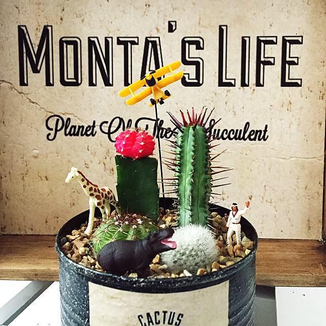 montaさんの実例写真
