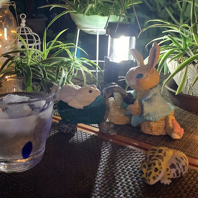 Aqettyさんの部屋