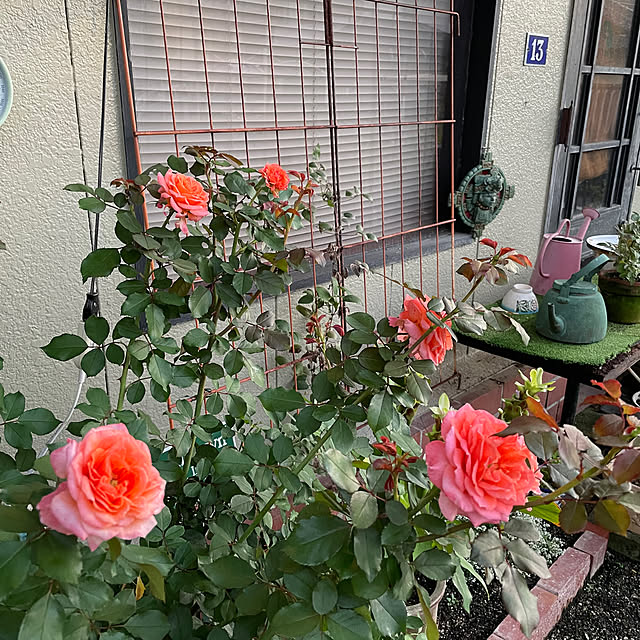 shin0719さんの部屋