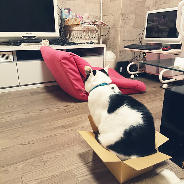 asuminさんの実例写真