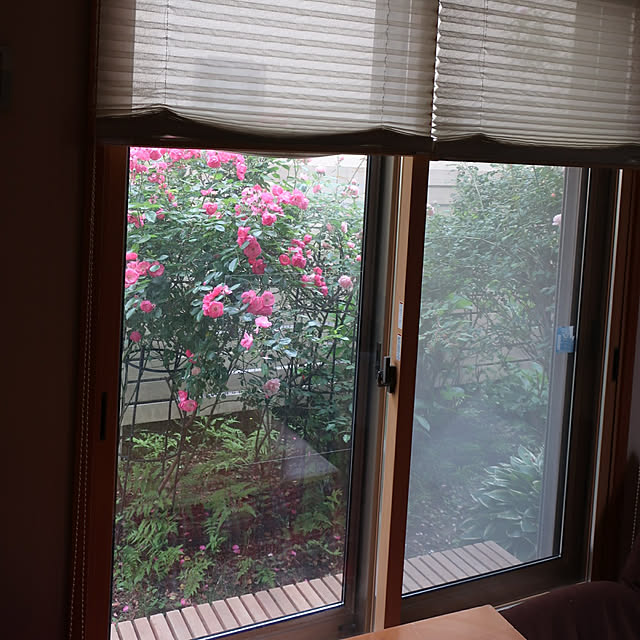 magnoliaさんの実例写真