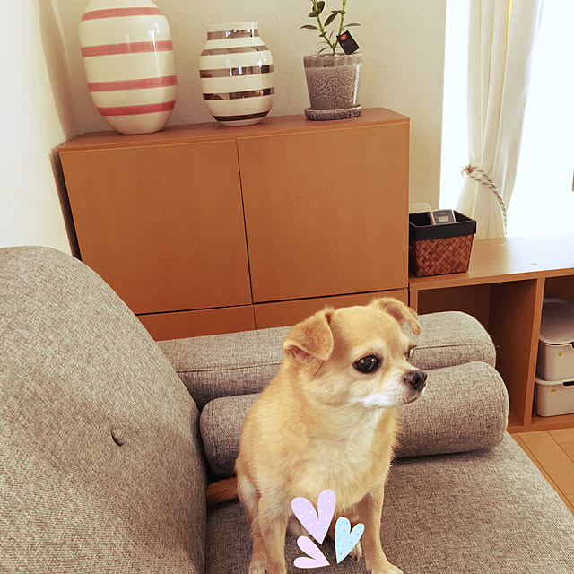haritakaさんの実例写真