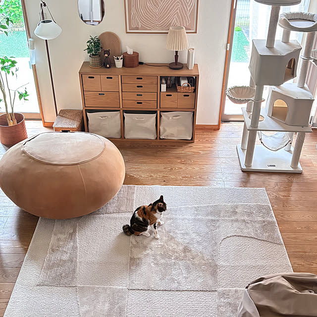 puu.tuuliさんの部屋