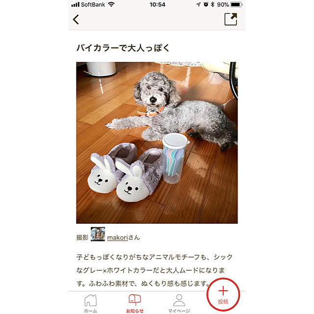 makoriさんの実例写真
