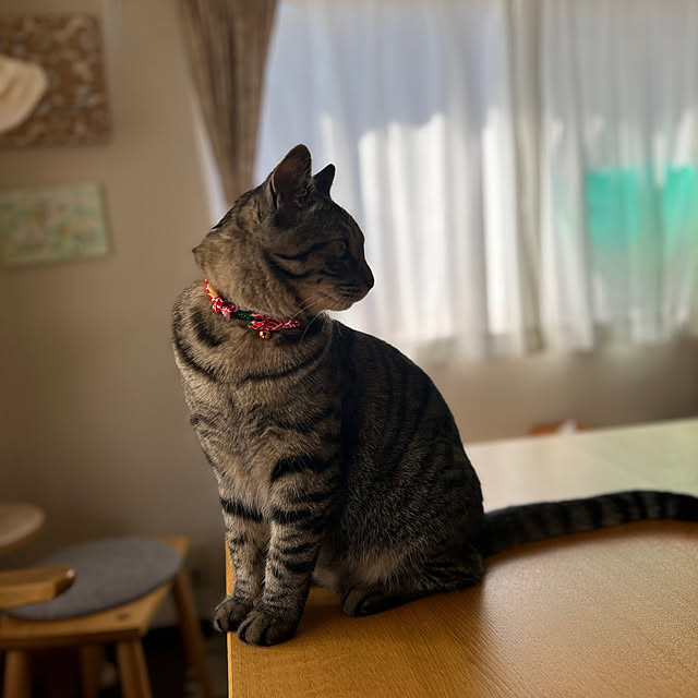kuzumeganeさんの部屋