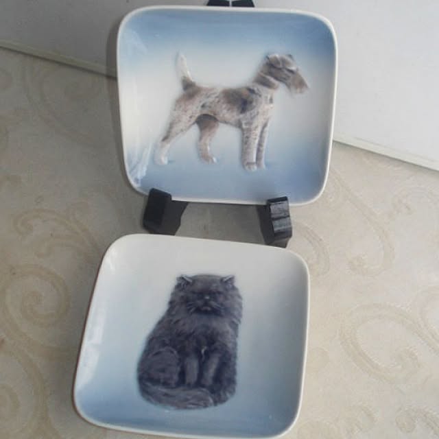 sannbonnnonamiさんの実例写真