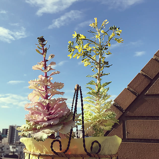 fuyiqian1026さんの実例写真