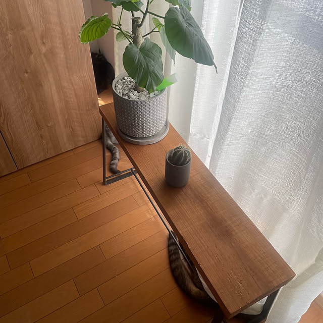 kabosuさんの実例写真