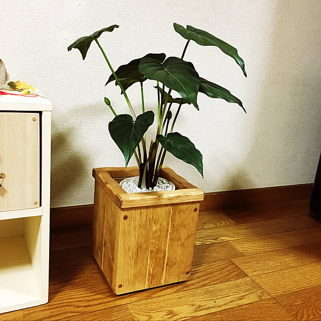 maron915さんの実例写真