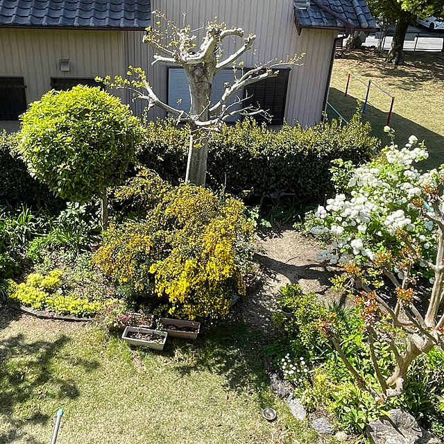 Fuku222さんの部屋