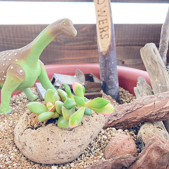 Chomeakiさんの実例写真