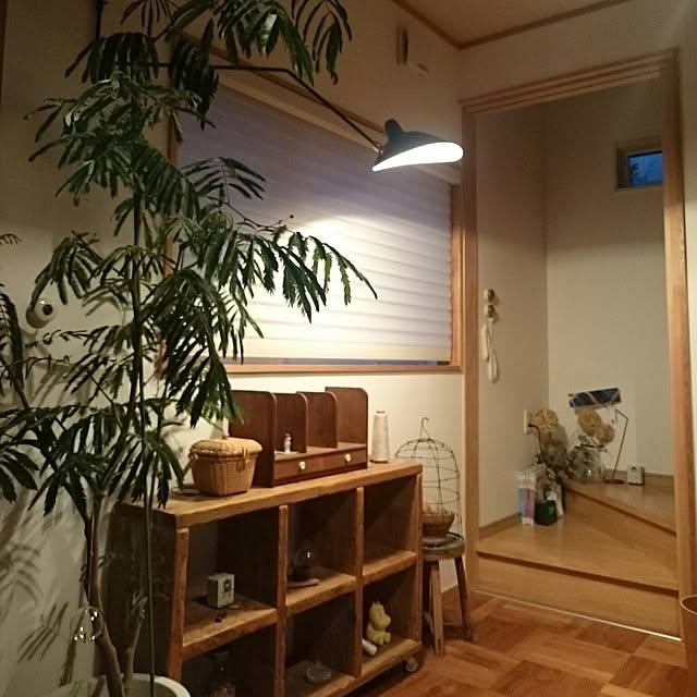 mignonさんの実例写真