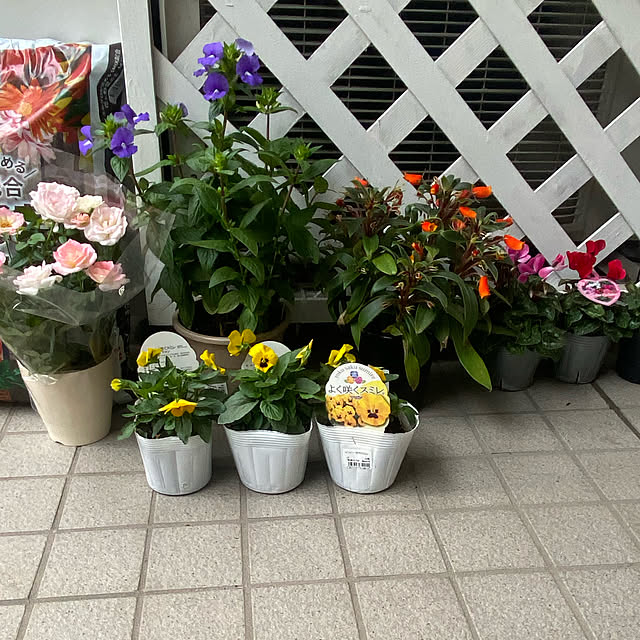 YuuKoさんの実例写真