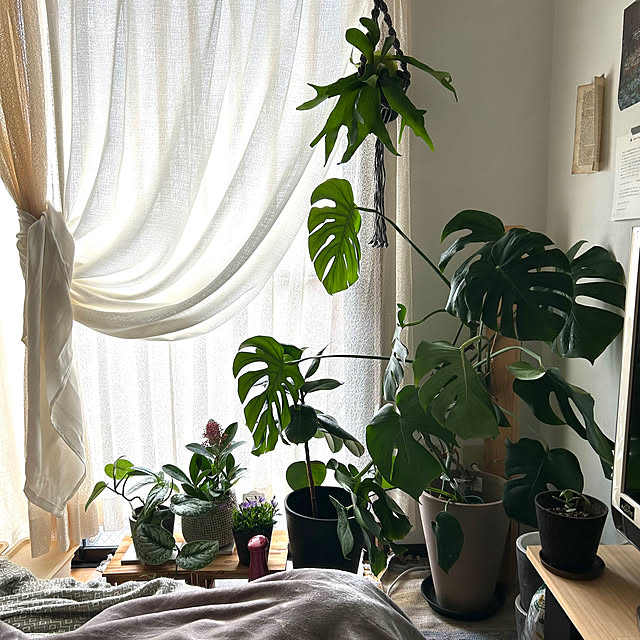tchiさんの部屋