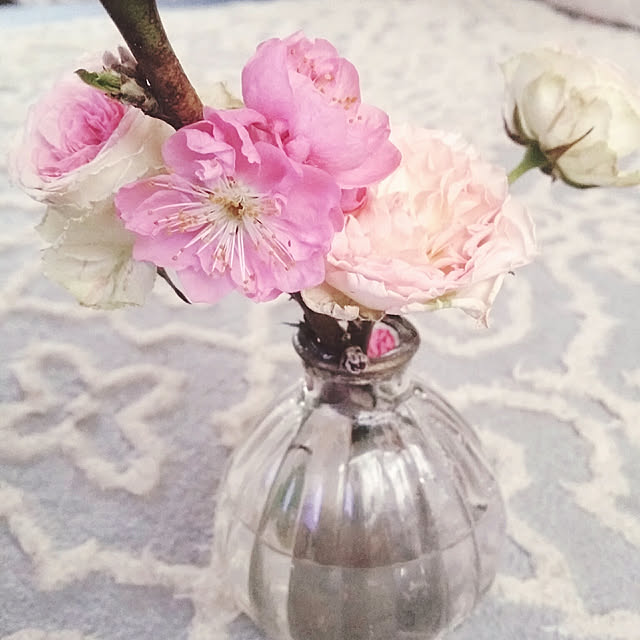 Junkoさんの実例写真