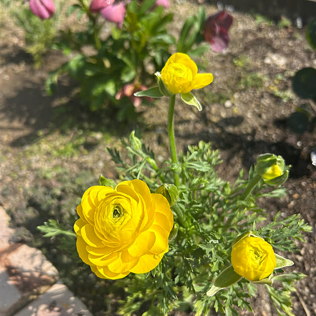 banbinaさんの実例写真