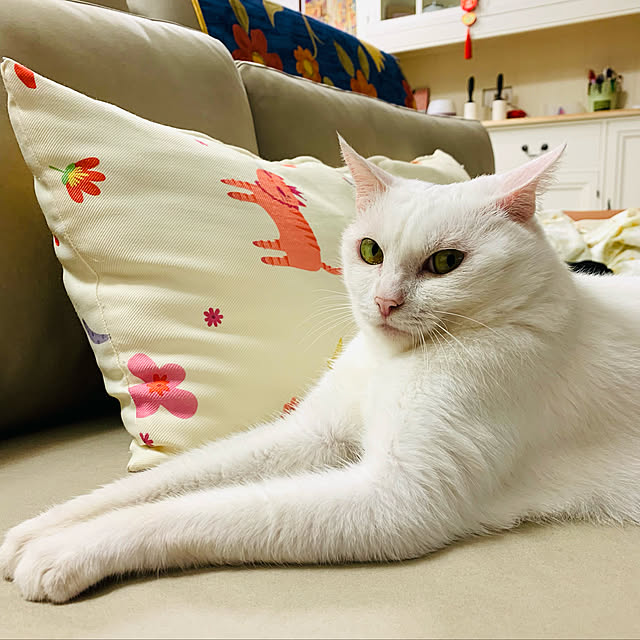 pcu110さんの実例写真