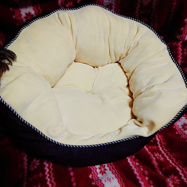 piccolochanさんの実例写真