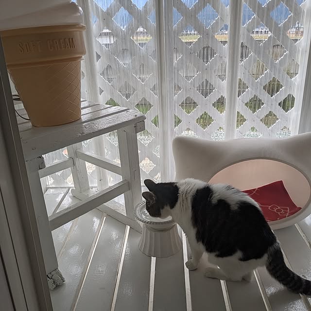 machikomamaさんの実例写真